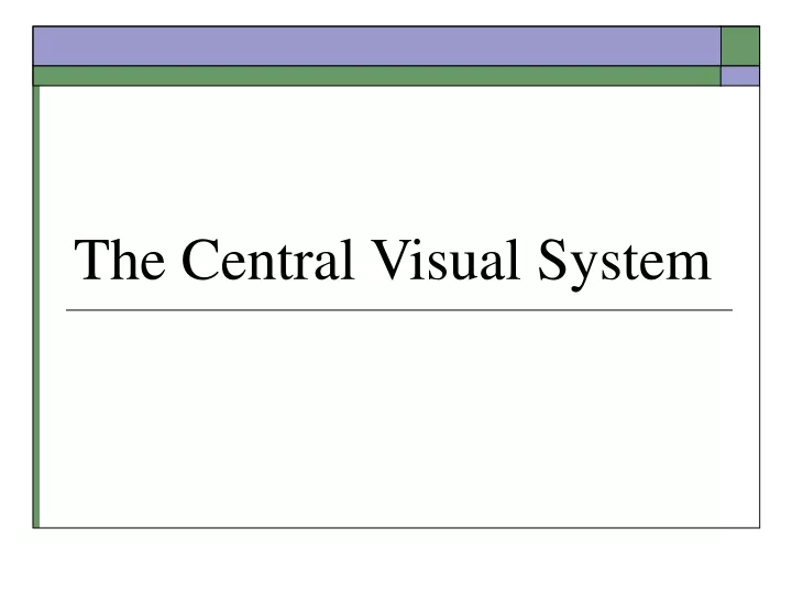 the central visual system