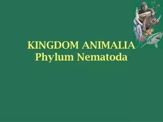 KINGDOM ANIMALIA Phylum Nematoda