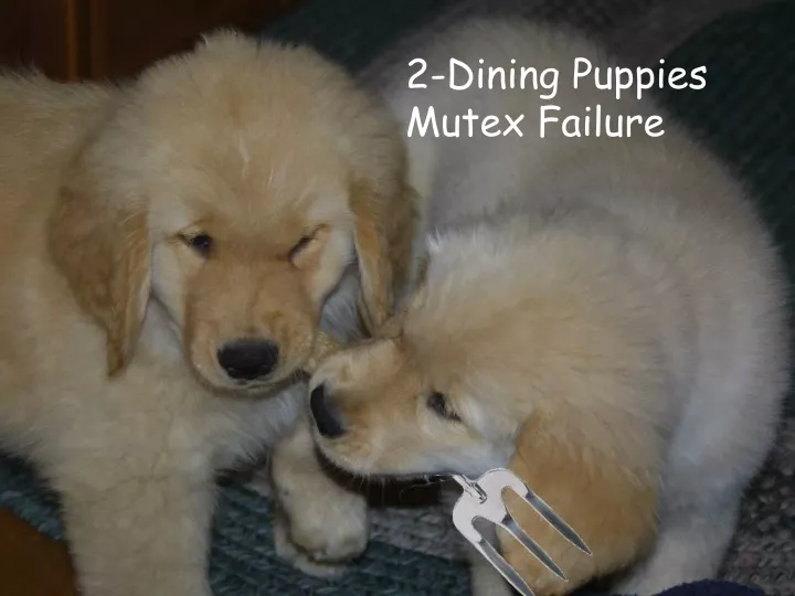 2 dining puppies mutex failure