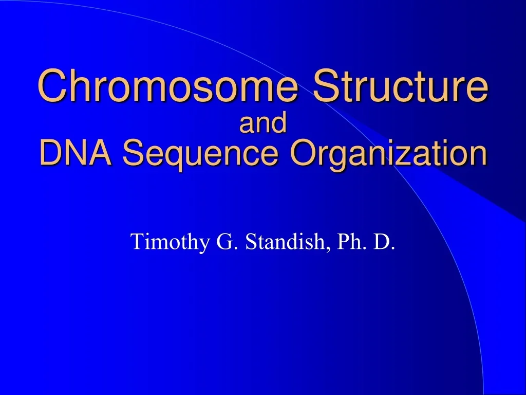 PPT - Decoding Chromosome Structure: Nucleosomes and DNA Packaging ...