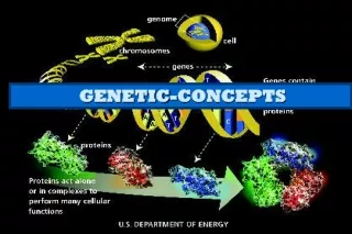 GENETIC-CONCEPTS