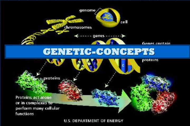 genetic concepts
