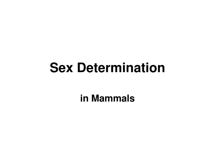 Ppt Sex Determination Powerpoint Presentation Free Download Id 9680958