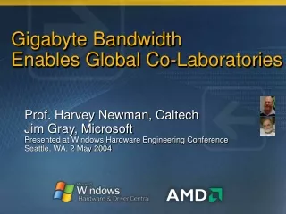 Gigabyte Bandwidth  Enables Global Co-Laboratories