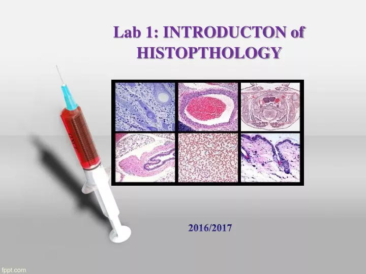 lab 1 introducton of histopthology