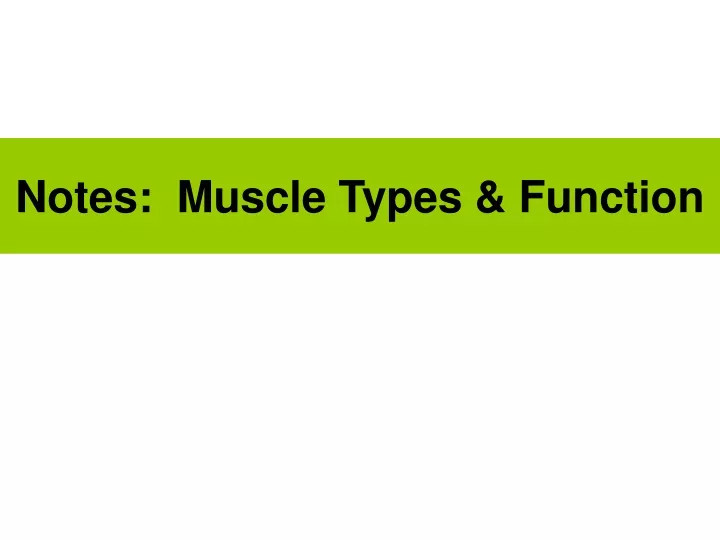 notes muscle types function