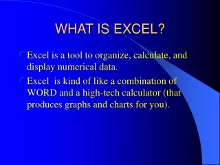 WHAT IS EXCEL?