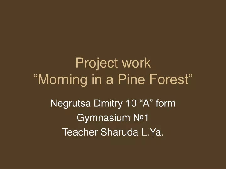project work morning in a pine forest