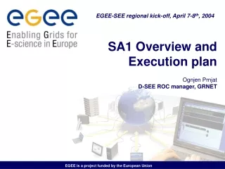 SA1 Overview and Execution plan Ognjen Prnjat D-SEE ROC manager, GRNET