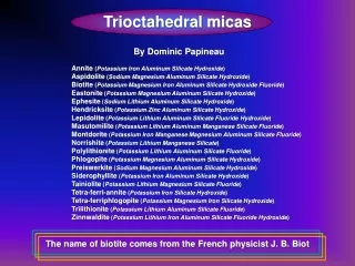 Trioctahedral micas
