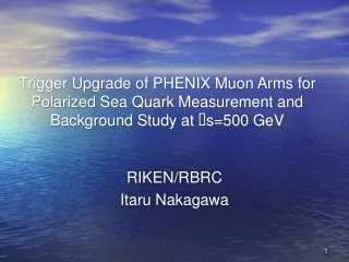 RIKEN/RBRC Itaru Nakagawa