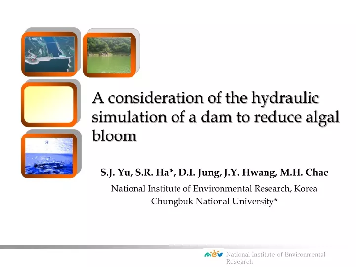a consideration of the hydraulic simulation of a dam to reduce algal bloom