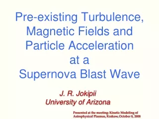 Pre-existing Turbulence, Magnetic Fields and  Particle Acceleration  at a  Supernova Blast Wave