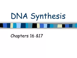 DNA Synthesis