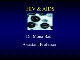 Dr. Mona Badr Assistant Professor