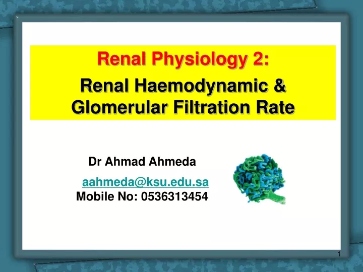 renal physiology 2 renal haemodynamic glomerular