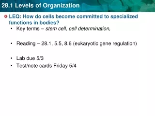 LEQ: How do cells become committed to specialized functions in bodies?
