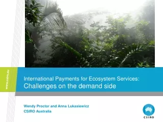 International Payments for Ecosystem Services: Challenges on the demand side