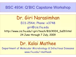 BSC 4934: Q’BIC Capstone Workshop