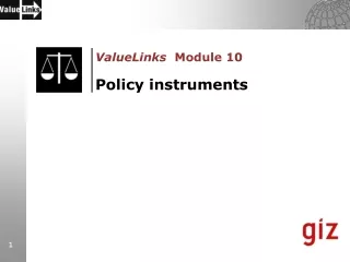 ValueLinks   Module 10  Policy instruments