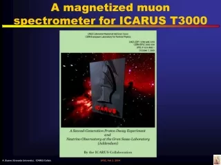 A magnetized muon spectrometer for ICARUS T3000