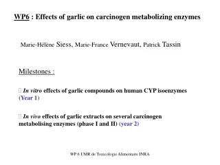 WP6  : Effects of garlic on carcinogen metabolizing enzymes