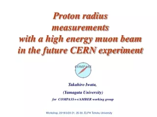 Proton radius   measurements with a high energy muon beam in the future CERN experiment