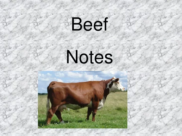 beef notes