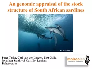 An genomic appraisal of the stock structure of South African sardines