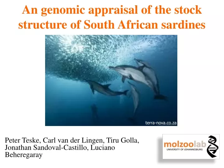 an genomic appraisal of the stock structure of south african sardines