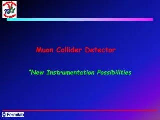 Muon Collider Detector