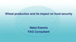 Wheat production and its impact on food security Nakd Khamis FAO Consultant