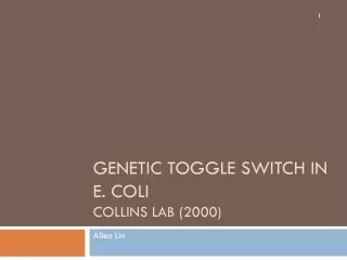Genetic Toggle Switch in E. Coli Collins Lab (2000)