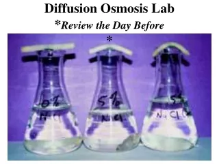 Diffusion Osmosis Lab * Review the Day Before *