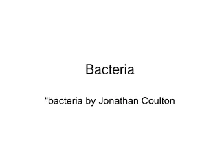 Bacteria