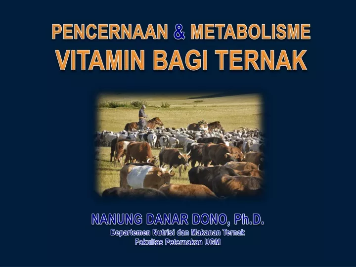 pencernaan metabolisme vitamin bagi ternak