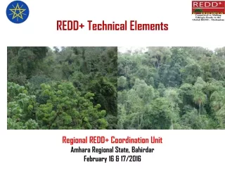 REDD+ Technical Elements