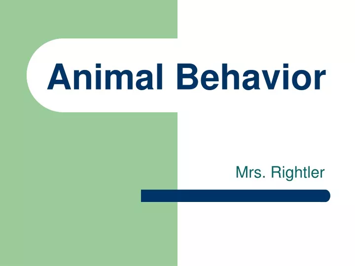 animal behavior