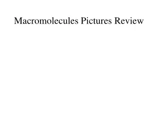 Macromolecules Pictures Review