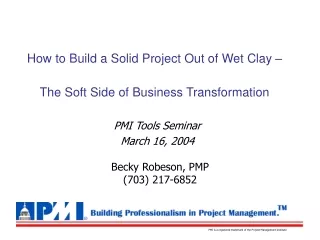 How to Build a Solid Project Out of Wet Clay –  The Soft Side of Business Transformation