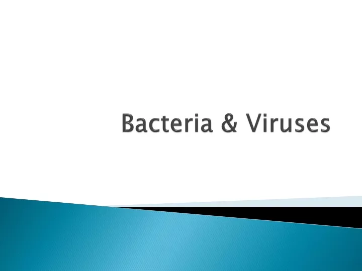 bacteria viruses