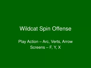 Wildcat Spin Offense