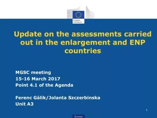 MGSC meeting 15 - 16 March 2017 Point 4.1 of the Agenda  Ferenc Gálik /Jolanta Szczerbinska