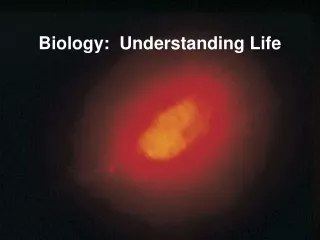 Biology:  Understanding Life
