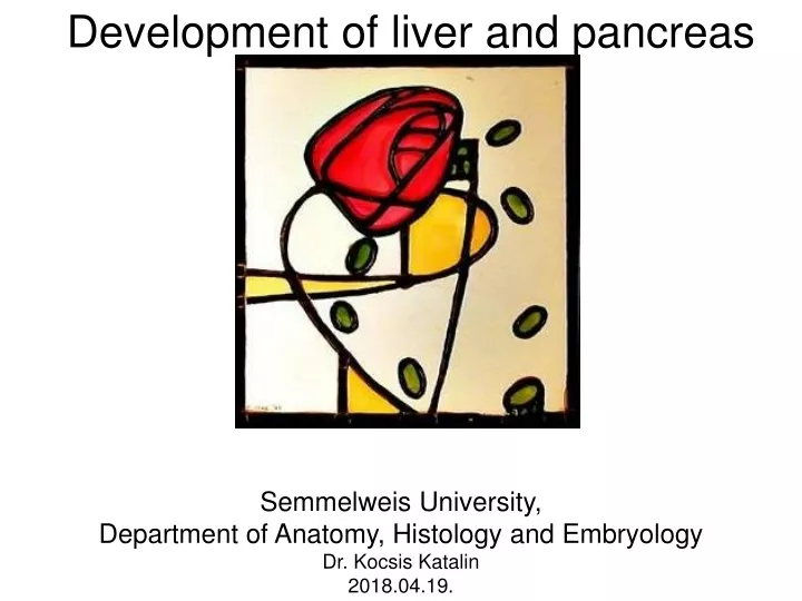 development of liver and pancreas