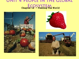 Unit 4 People in the Global Ecosystem