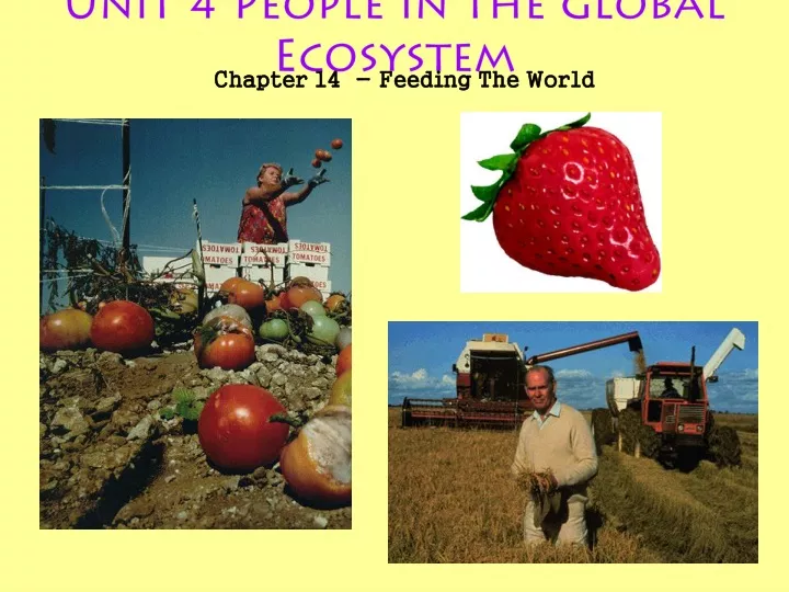 unit 4 people in the global ecosystem