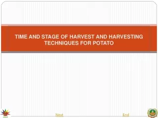 TIME  AND STAGE OF HARVEST AND HARVESTING TECHNIQUES FOR POTATO