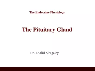 The Endocrine Physiology The Pituitary Gland