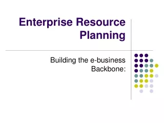 Enterprise Resource Planning